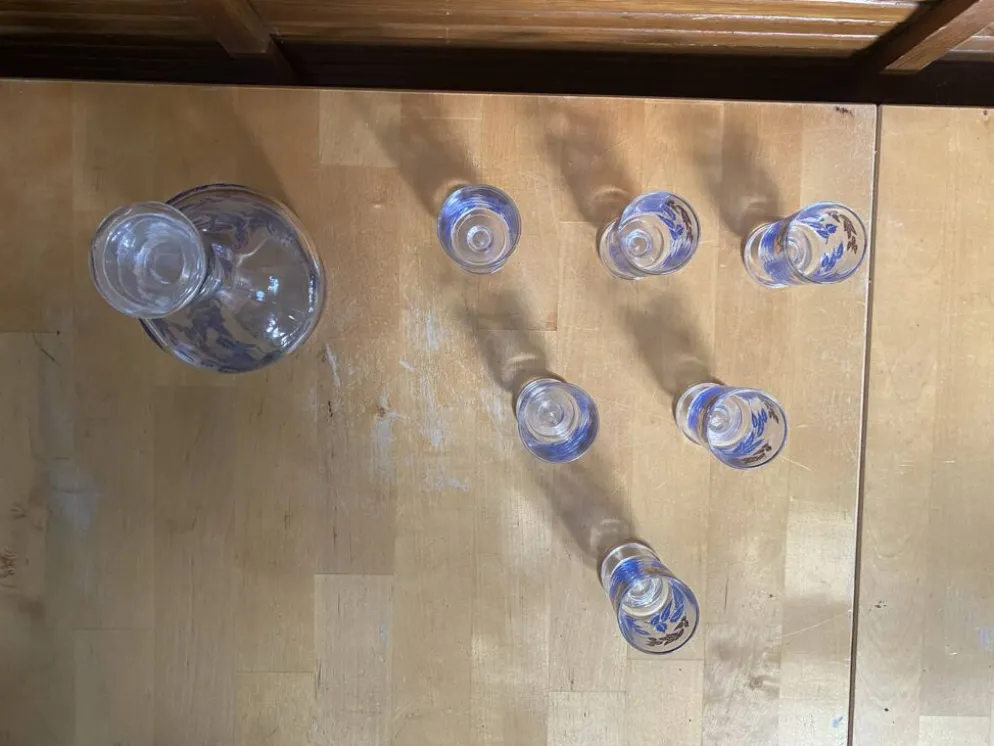 Service liqueur luminarc carafe + 6 verres verre moulé décor feuillage