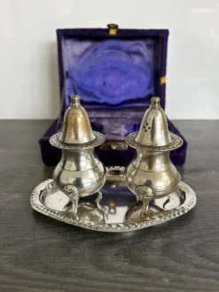 Service Salière & Poivrière Vintage sur Plateau