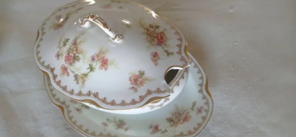 Services de vaisselle Haviland, porcelaine de Limoges