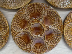 Set de 6 assiettes à coquillages