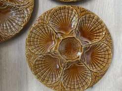 Set de 6 assiettes à coquillages