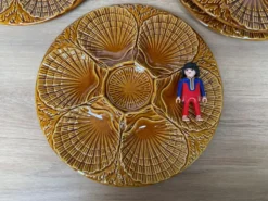 Set de 6 assiettes à coquillages