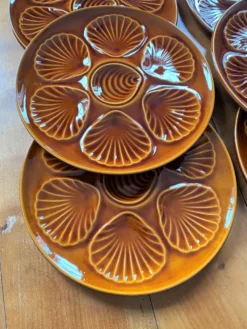 Set de 6 assiettes à coquillages