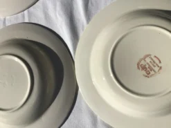 Set de 8 assiettes creuses fleurs bordeaux et jaune