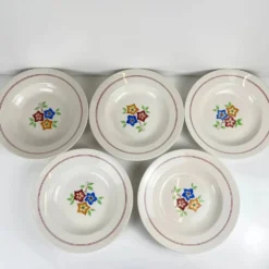 Set de 5 assiettes creuses