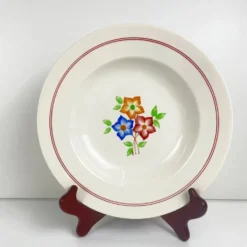 Set de 5 assiettes creuses