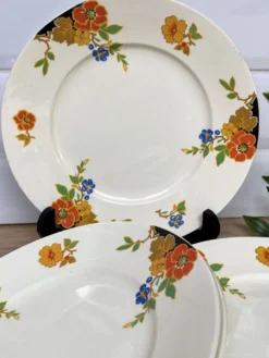 Set de 6 assiettes à dessert