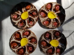 Set de 4 assiettes à huîtres en céramique Vallauris plats de service