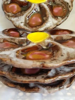 Set de 4 assiettes à huîtres en céramique Vallauris plats de service