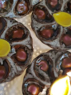 Set de 4 assiettes à huîtres en céramique Vallauris plats de service