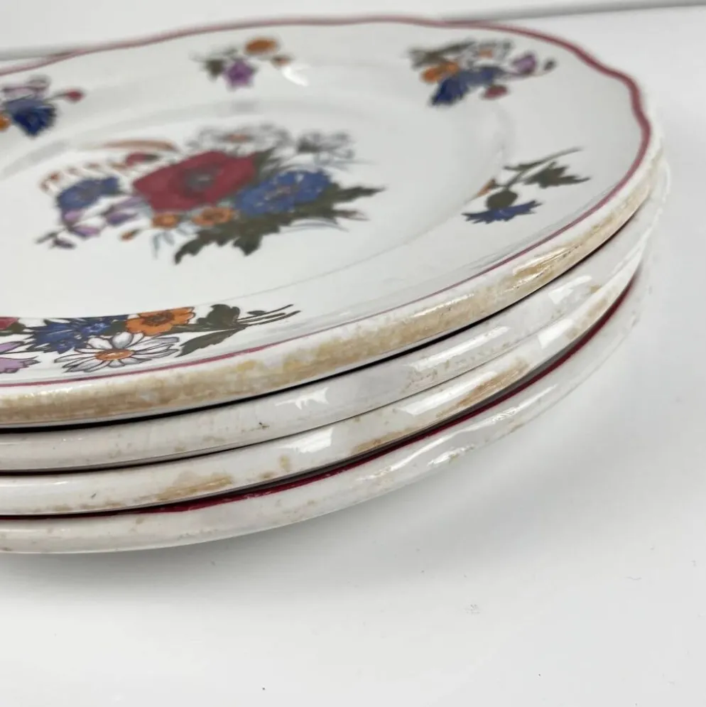 Set de 4 assiettes plates "Agreste", Sarreguemines, fin XXe, Pyroblan