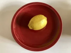 Set de 5 assiettes plates mid century 1970 faience de Longchamp