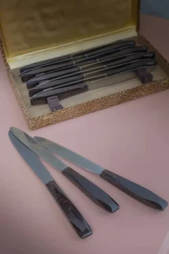 Set de 12 couteaux en coffret « Clarisse »