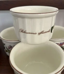 Set 6 ramequins Villeroy et Boch