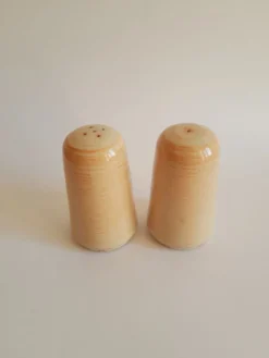 Set salière et poivrier en grès vintage