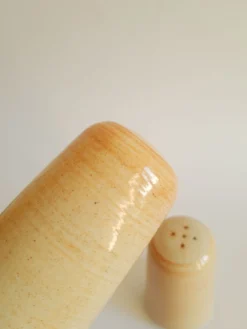 Set salière et poivrier en grès vintage