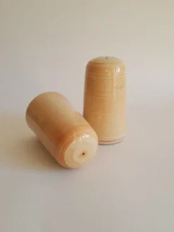 Set salière et poivrier en grès vintage