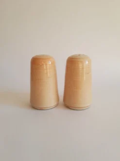Set salière et poivrier en grès vintage