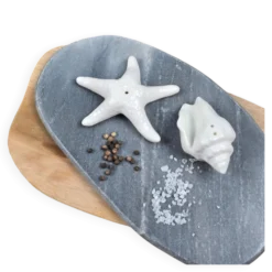 Set salière poivrière coquillage et étoile de mer en céramique blanche