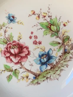 Six assiettes creuses 1960 Sarreguemines modèle Eden