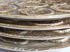 Six assiettes à huîtres faïence à l'émail mat, années 50
