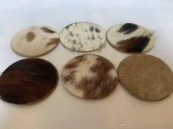 Six dessous de verre vaches