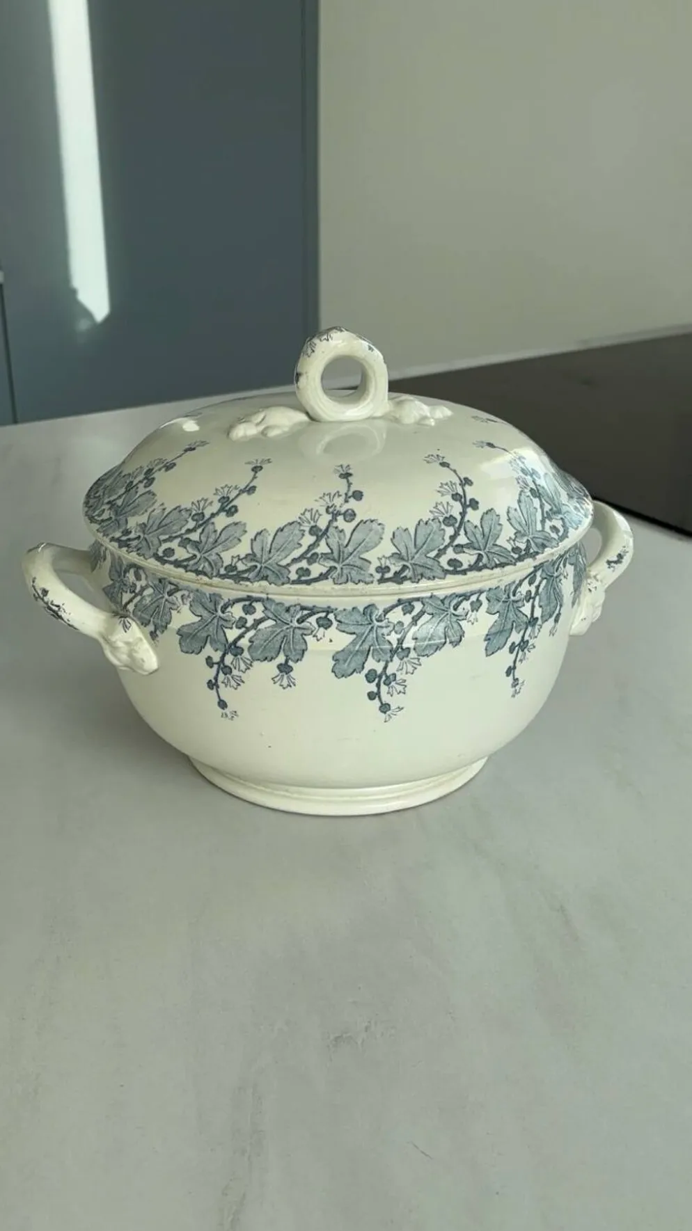 Soupiere terre de fer Lunéville Neva – faïence ancienne française déco