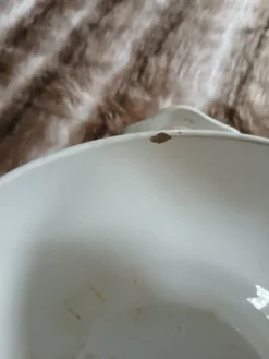 Soupière ancienne en Terre de fer