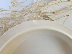 Soupière ancienne Gien Iris Terre de Fer
