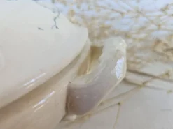 Soupière ancienne Gien Iris Terre de Fer