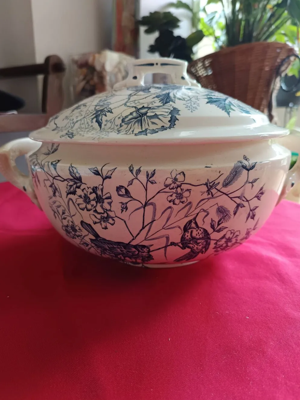 soupière ancienne Terre de Feu 1920/1930 décor oiseaux et insectes