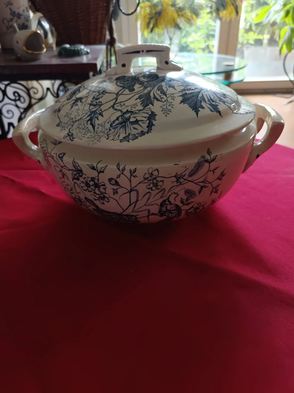 soupière ancienne Terre de Feu 1920/1930 décor oiseaux et insectes