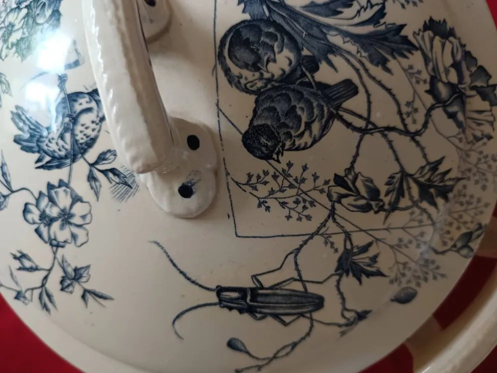 soupière ancienne Terre de Feu 1920/1930 décor oiseaux et insectes