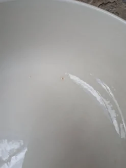 Soupière avec couvercle en Terre de Fer Salins modèle Nénuphar 25.5cm