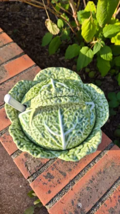 soupière chou vert avec louche