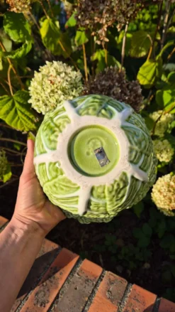 soupière chou vert avec louche