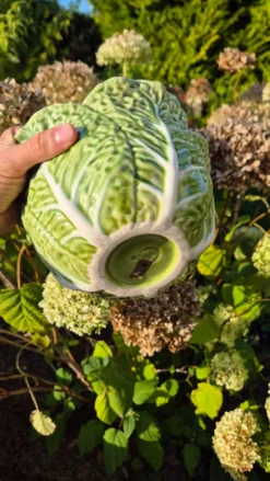 soupière chou vert avec louche