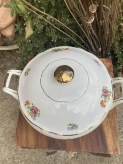Soupière Digoin Sarreguemines motif romantique