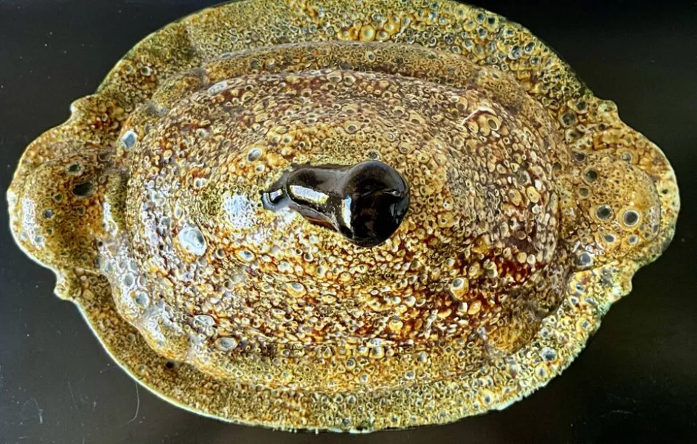 Soupière Émaux des Dunes et son plateau