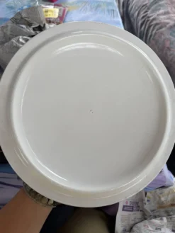 Soupière vintage fleurs art déco Versailles porcelaine opaque