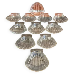 Série 11 Coupelles PYREX Forme Coquille St Jacques Verre Moulé France