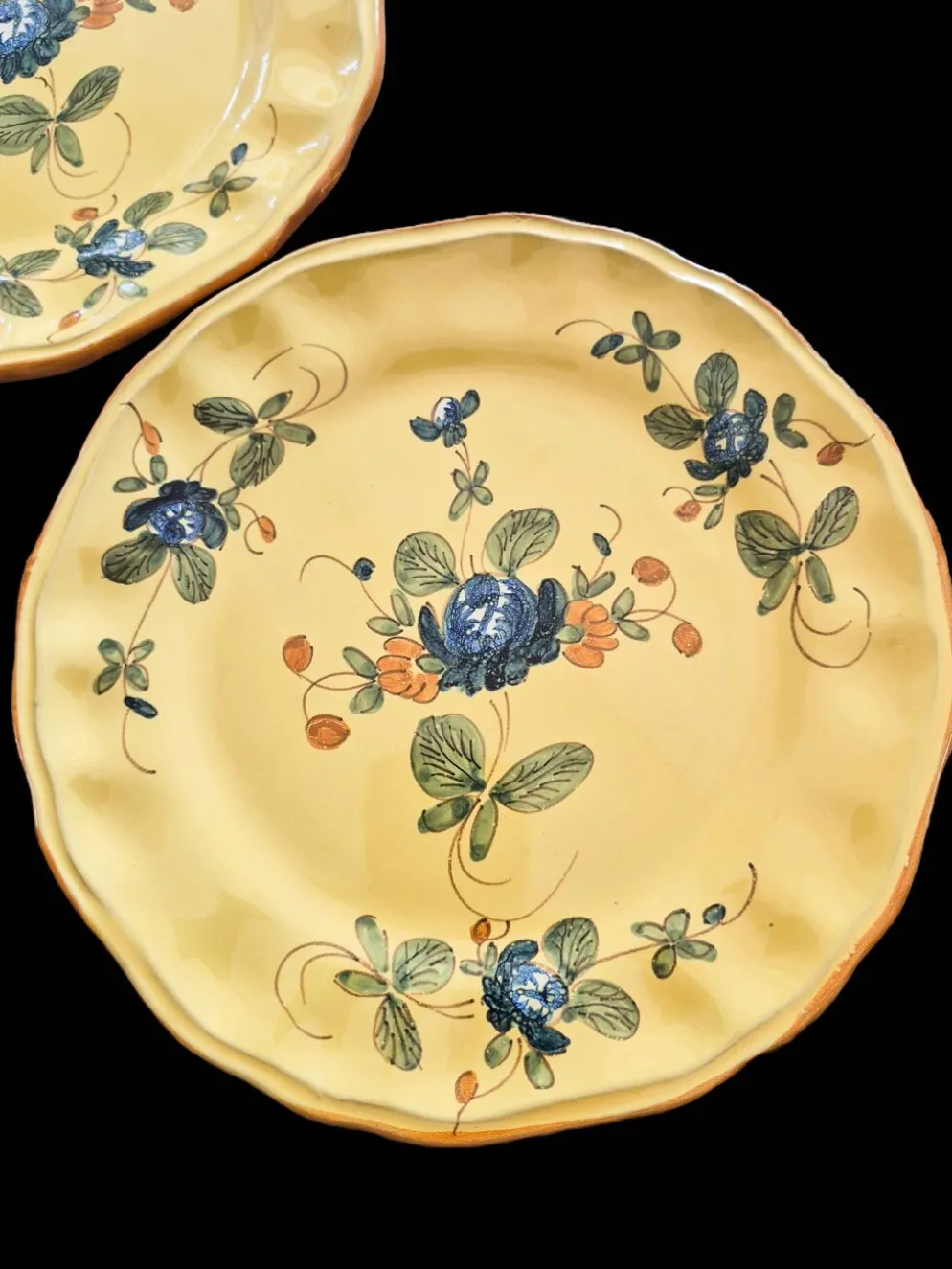 Série de 10 assiettes à dessert vintage Martres-Tolosane Décor Rose Bleue