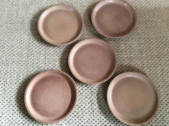Série de 5 assiettes en grès