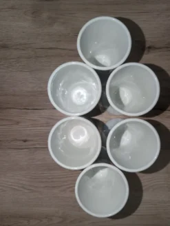 Série de 6 Chopes à Mazagran Vintage Porcelaine MP Tours Bleuets