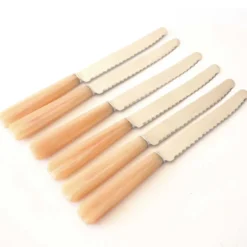 Série de 6 couteaux bakelite