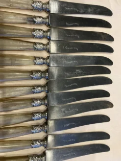 Série de 12 couteaux à manche en corne