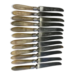 Série de 12 couteaux à manche en corne