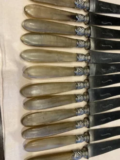 Série de 12 couteaux à manche en corne