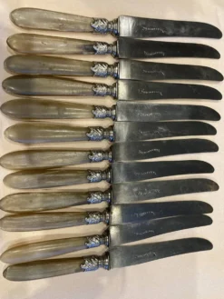 Série de 12 couteaux à manche en corne