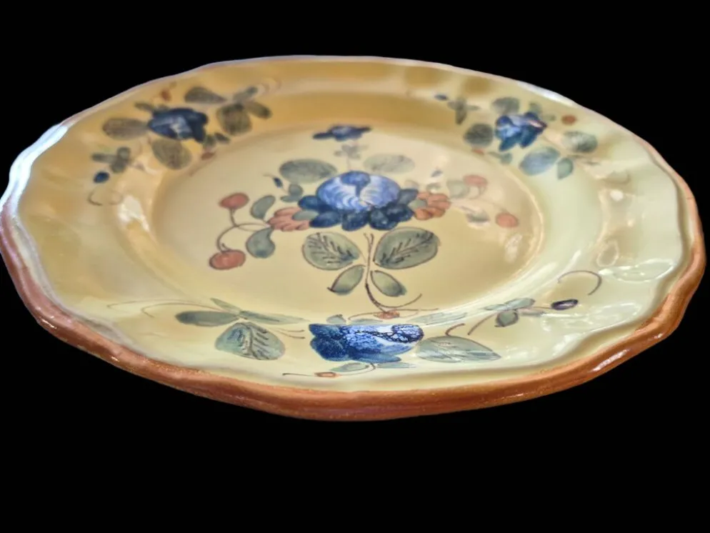 Série 10 grandes assiettes plates vintage Martres-Tolosane Décor Rose bleue